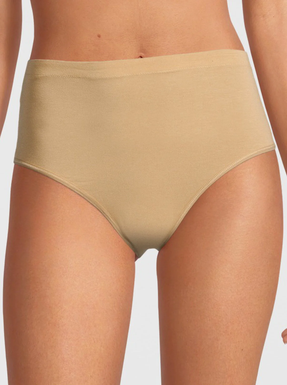 Maxi Briefs in Micromodal 1217 - Image 5